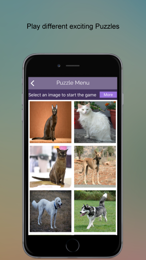 Pet Animals PRO SMART Guide(圖4)-速報App