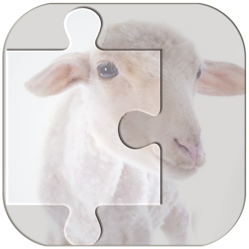 Real Animal Puzzle Jigsaw icon