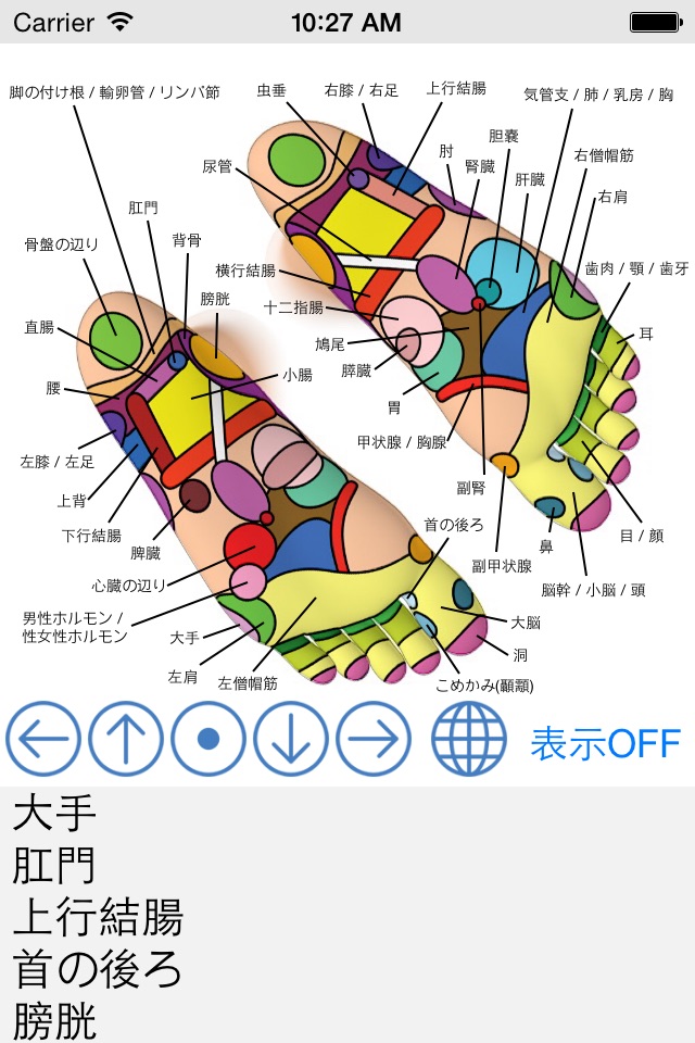 Foot Reflexology Chart screenshot 4