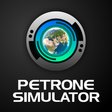 Activities of Petrone Simulator