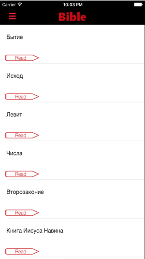 Russian Bible - Holy SYNOD Version(圖5)-速報App