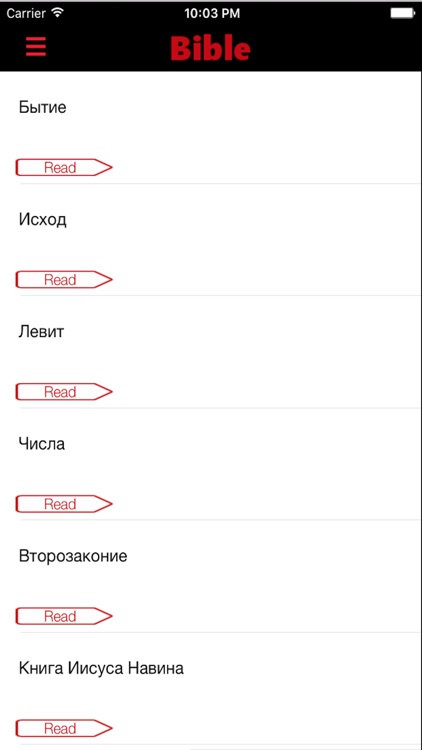 Russian Bible - Holy SYNOD Version screenshot-4