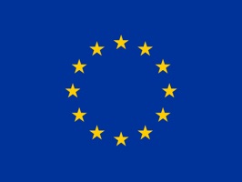 Don't rely on tiny flag emoji again