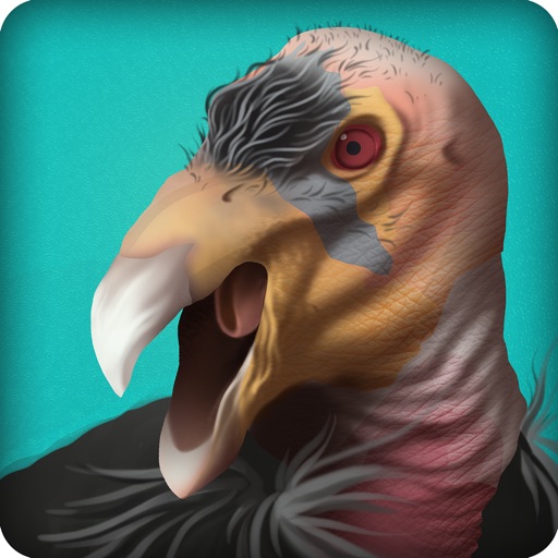 Condor Country iOS App