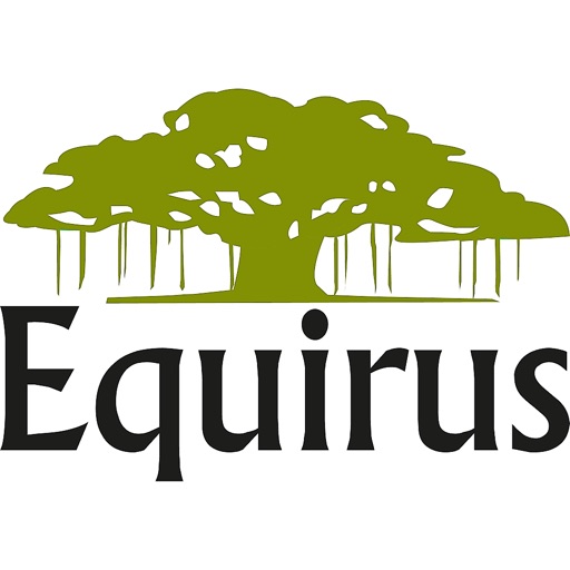 Equirus Wealth Icon