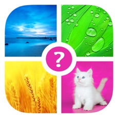 Activities of Words & Pics ~ Free Photo Quiz. What's the word?