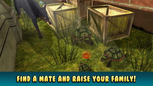 Life of Turtle: House Pet Simulator(圖3)-速報App