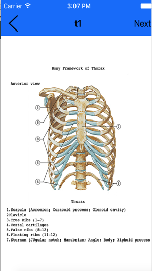 Anatomy Flashcard(圖5)-速報App