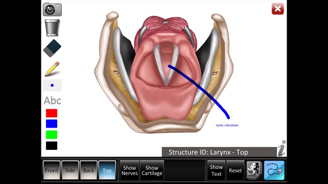 Larynx ID(圖5)-速報App