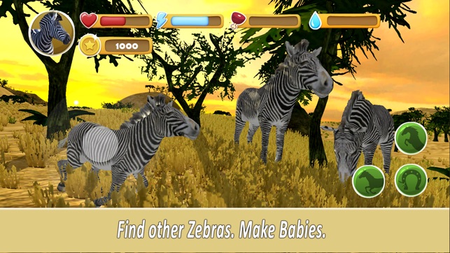 Zebra Family Simulator Full(圖2)-速報App