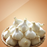 Benefits of Garlic