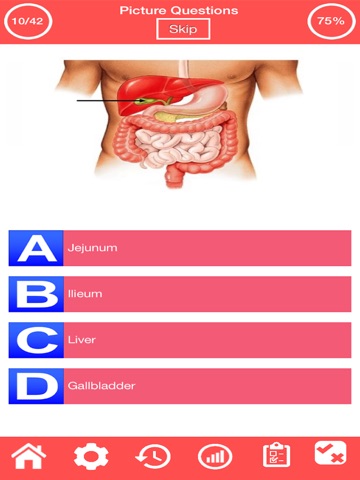 Digestive System Quiz screenshot 2