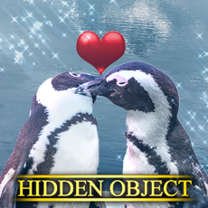 Activities of Hidden Object - Be Mine