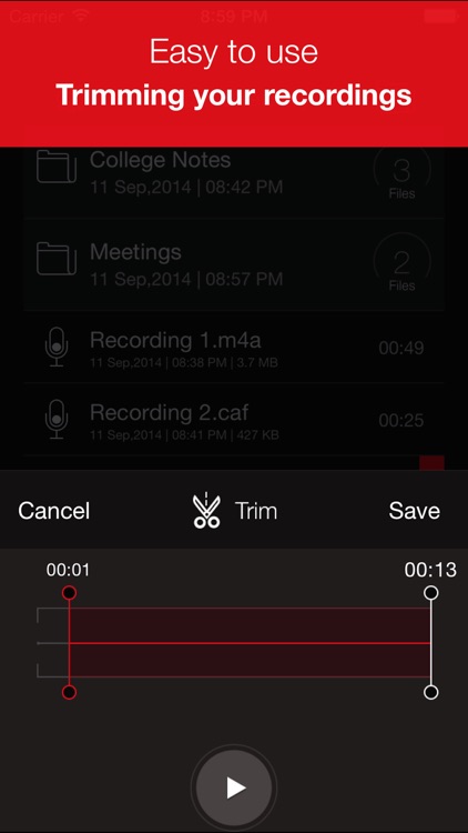 Recorder Plus Pro : Voice Recorder,Audio Recording screenshot-3