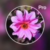 Photo Blur Editor Pro - Touch Blur Effects &Mosaic