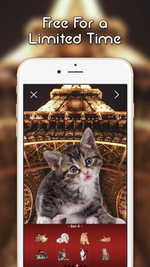 KittyGram - Cutest Cats Photo Decorator(圖3)-速報App