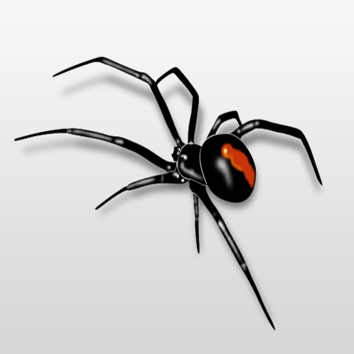 Silly Spider Prank Stickers : Scare Your Friends icon