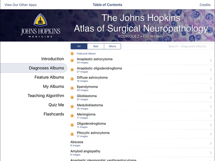 Johns Hopkins Atlas of Surgical Neuropathology