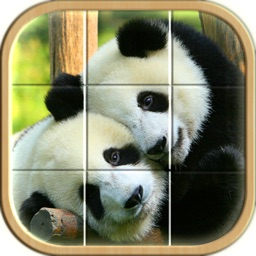 Puzzle Tiles PJ