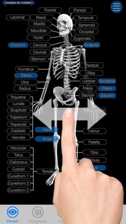 Skeletal Anatomy 3D - Quiz and Reference screenshot-4