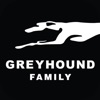 Greyhound Family