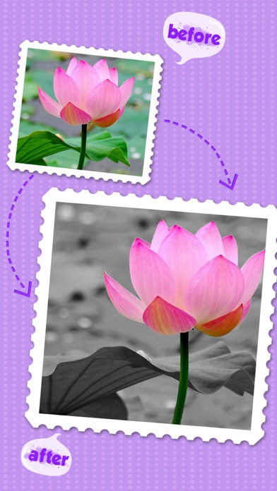 Color Editor - Photo Recolor & Background Eraserのおすすめ画像4