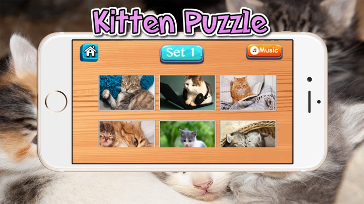 Cat Kitten Kitty Pet Jigsaw Puzzles for toddlers