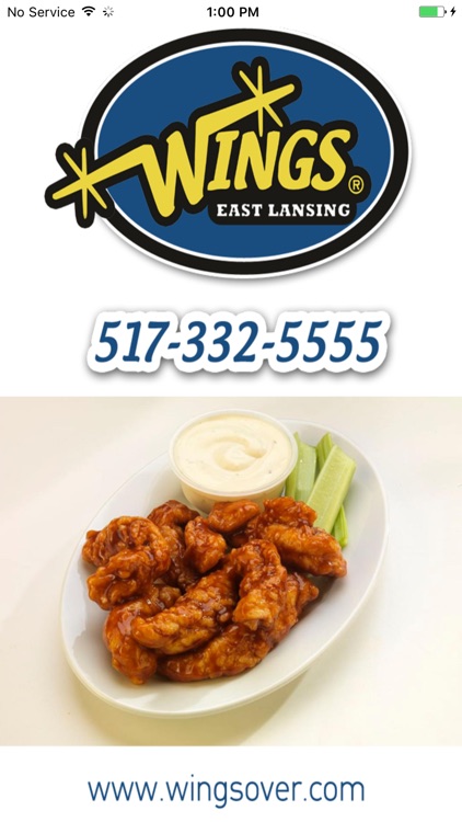 Wings Over East Lansing