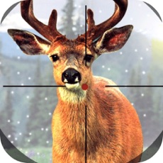 Activities of Forest Deer Master Shoot