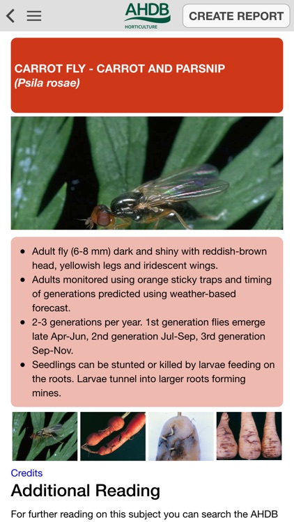 AHDB Crop Walkers’ Guide