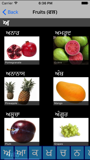 Learn Punjabi - Hashia Labs(圖4)-速報App