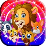 animal super match3