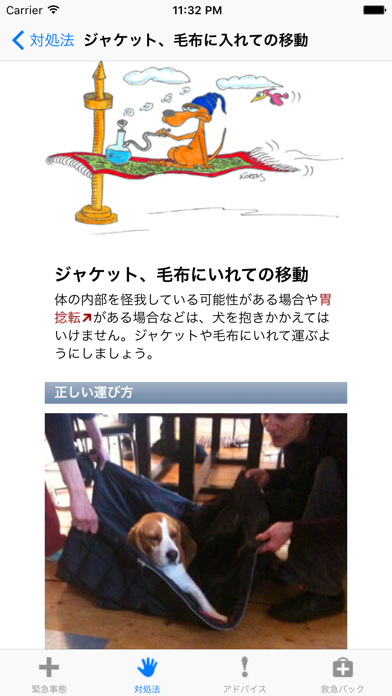 犬の応急処置 screenshot1