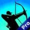 Best Bow and Arrow Pro