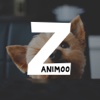 Zanimoo