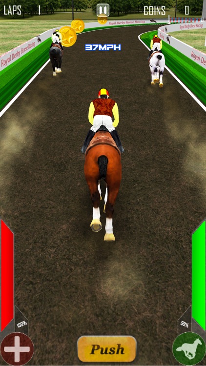 Royal Derby Horse Racing screenshot-3