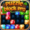 Puzzle Block Pro