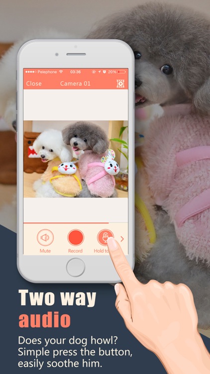 AtHome Camera - Home security, video surveillance screenshot-4