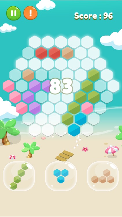 Magic Hexagons