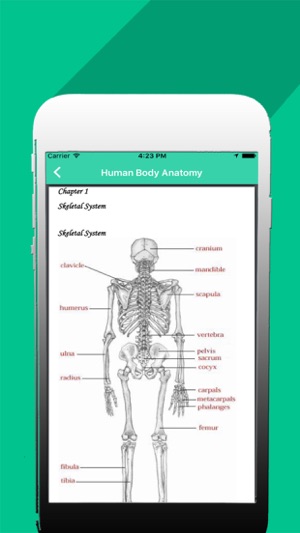 Organs of human body(圖3)-速報App