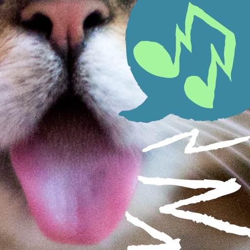 Lil BUB's Ringtones! iOS App