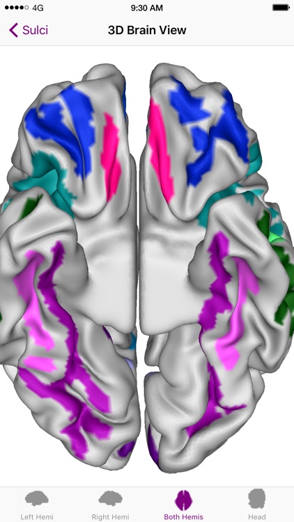 Brain Tutor 3D