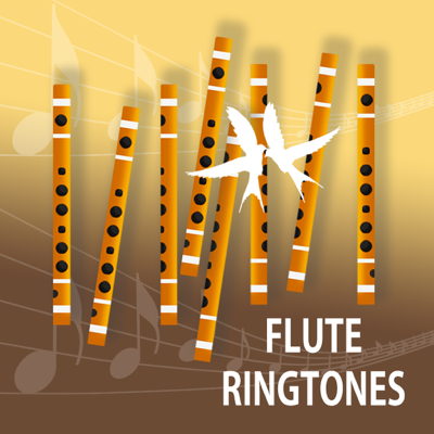 Toques de Flauta - Música Clássica Sons Relaxantes