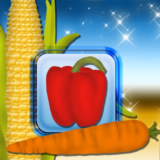 Magnetic Vegetables Board icon
