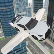 Fly-ing Sports Car Sim-ulator 3D