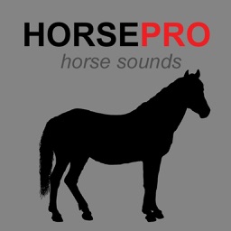 Horse Sounds & Equine Sounds