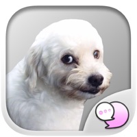 Buy me for my food  Mad dog Stickers for iMessage