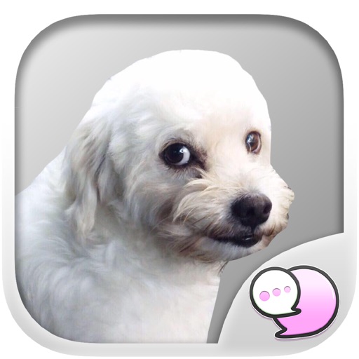 Buy me for my food : Mad dog Stickers for iMessage