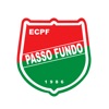 Esporte Clube Passo Fundo