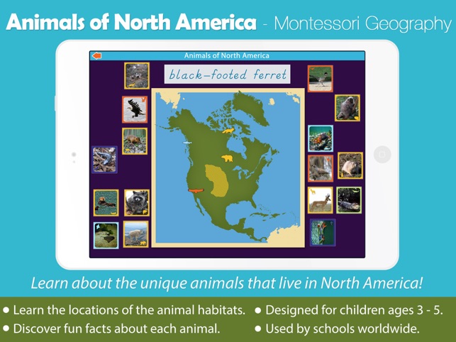 Animals of North America - Montessori Ge